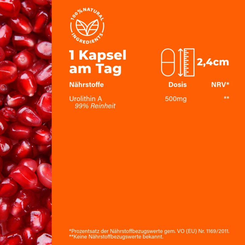 ANEOMED Cosmetics Urolithin A 500mg vegane Kapsel Verzehrempfehlung Nährwerte longevity