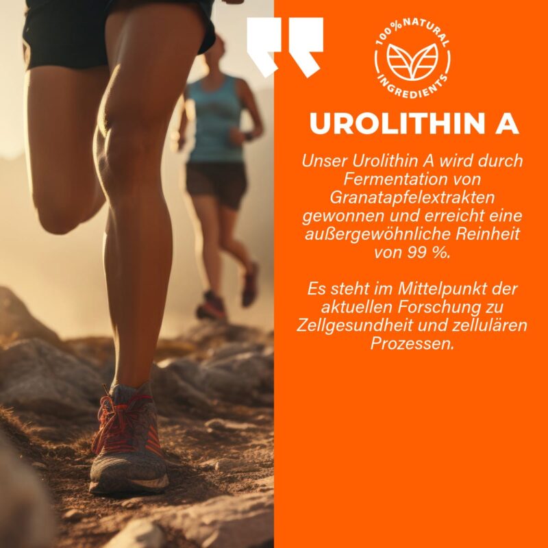 ANEOMED Cosmetics Urolithin A 500mg vegane Kapseln Beschreibung Wirkung Longevity