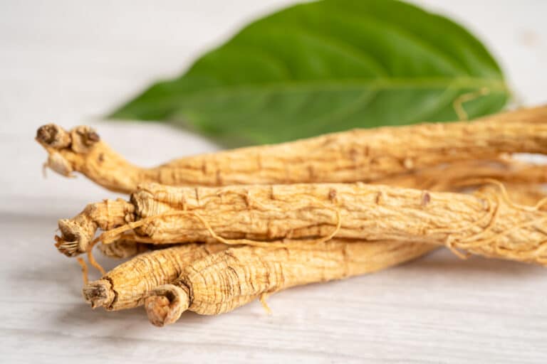 ANEOMED Cosmetics Panax-Ginseng-Extrakt
