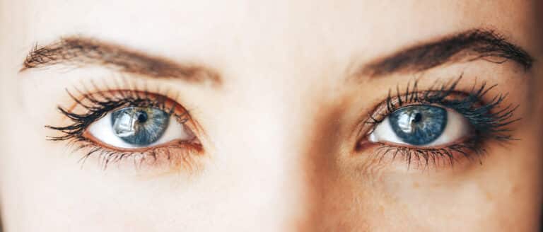 ANEOMED Cosmetics Model Wimpern lange voluminöse Wimpern FROM ZERO TO LASH