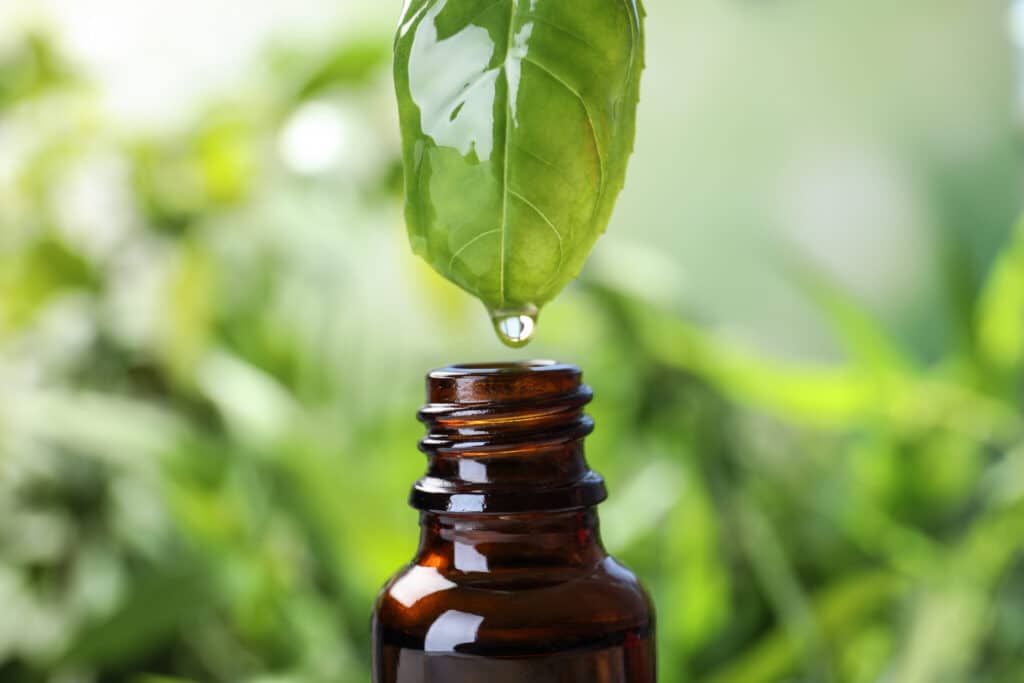 ANEOMED Cosmetics vegane Inhaltsstoffe und vegane Zusammensetzung der Kosmetik